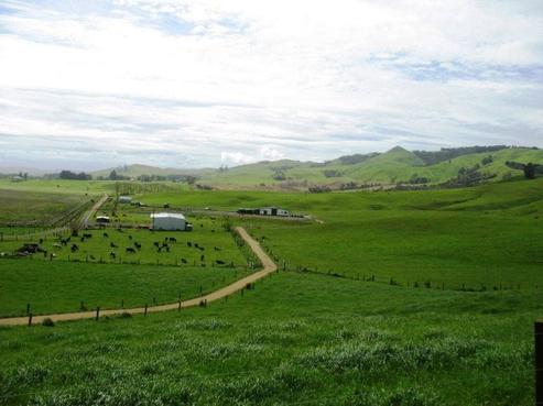 337 Roto O Rangi Road, Cambridge