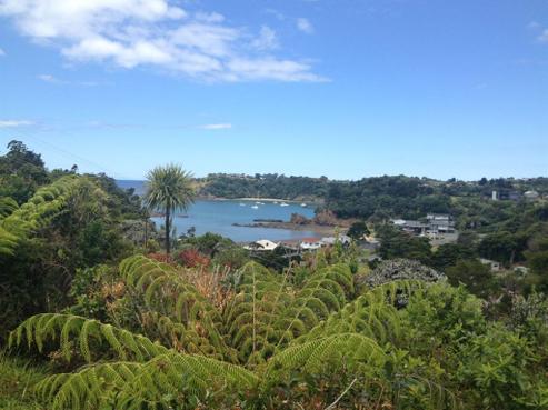 51 Tutukaka Block Road, Tutukaka