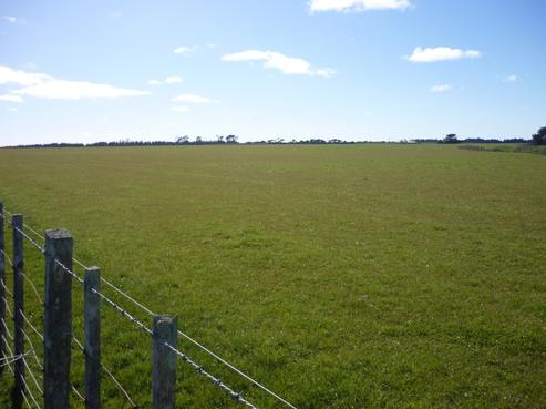 459 Waimutu Road, Turakina