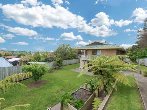 9 Carew Street, Nawton