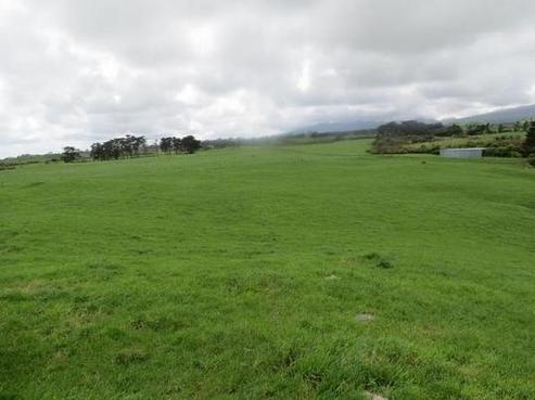 1637 Wiremu Road, Rahotu