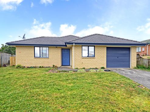 82 Pitt Avenue, Clendon Park