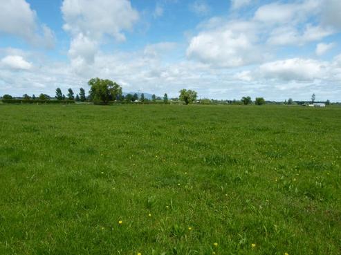 97 Mill Road, Ohaupo