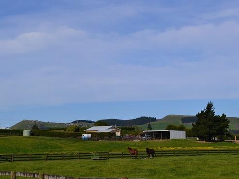 773 Weston-ngapara Road, Enfield and Surrounds