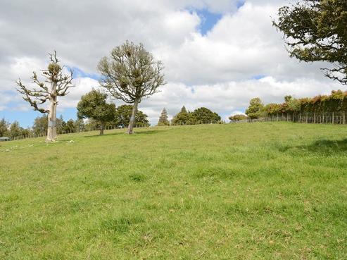 218 Three Mile Bush Road, Kamo