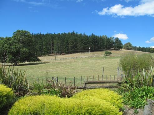 210 Mount Herbert Road, Waipukurau and Surrounds