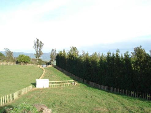663 Tablelands Road, Opotiki and Surrounds
