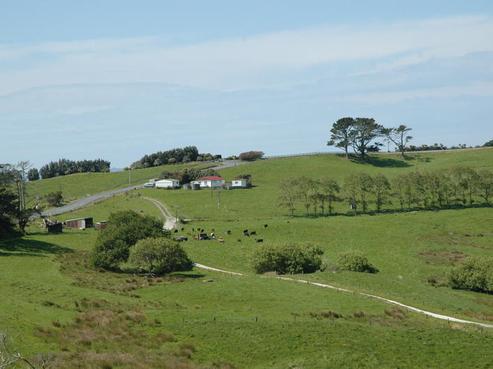 20 Coal Hill Road, Mangawhai