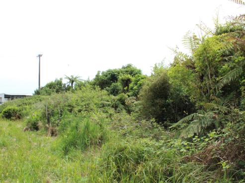 34 Horncastle Crescent, Karamea