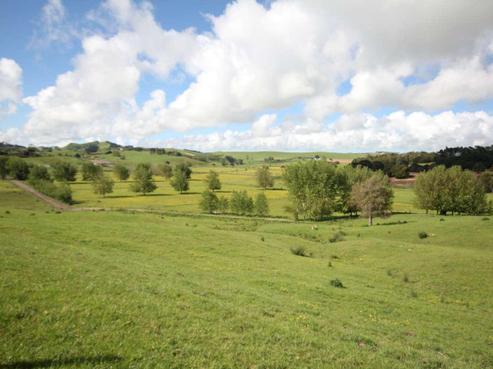 2328 Pukehuia Road, Arapohue