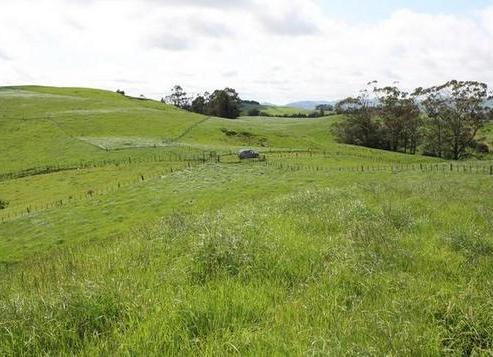 31 Factory Road, Waimana