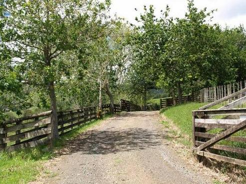559 Ness Valley Road, Ness Valley