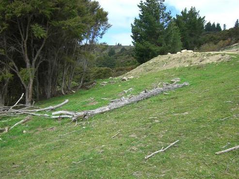 721 Blueskin Road, Mount Cargill