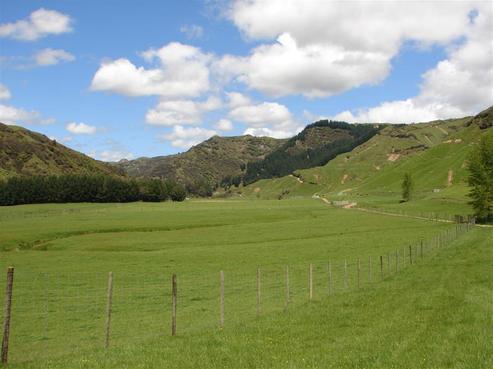 61 Power Road, Owhango