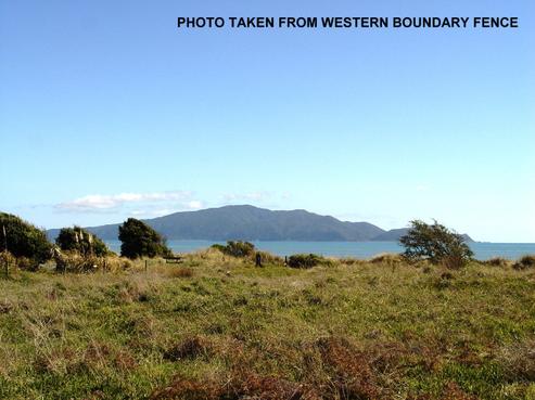 16 Beachview Grove, Peka Peka