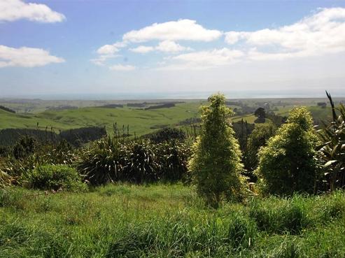 242 Esk Road, Miranda