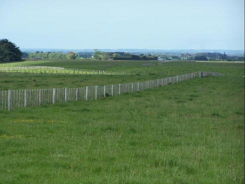 147 Forlong Road, Feilding