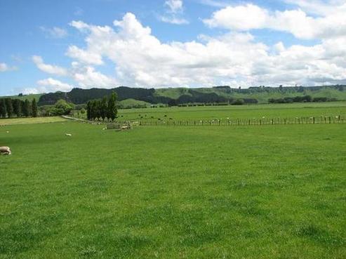 576 Ruatangata Road, Whangaehu
