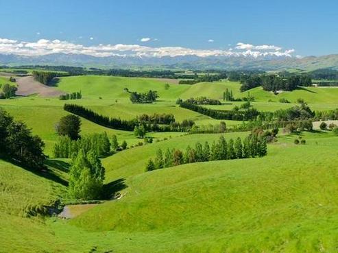 221 Old Main Road, Cheviot