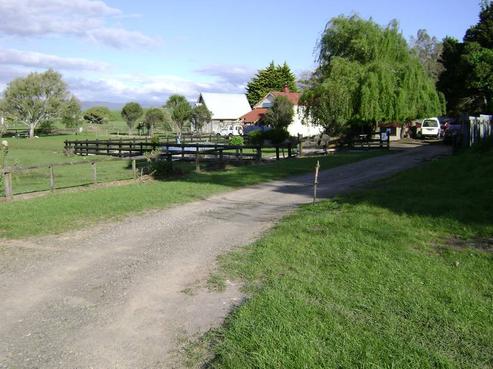 7 Dunlop Road, Opotiki and Surrounds