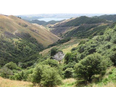 1715 Klondyke Road, Port Waikato