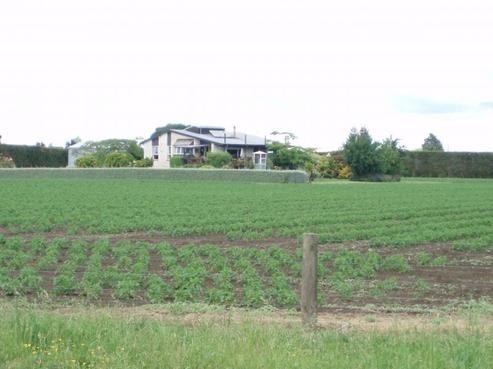 131 Ruahapia Road, Waipatu