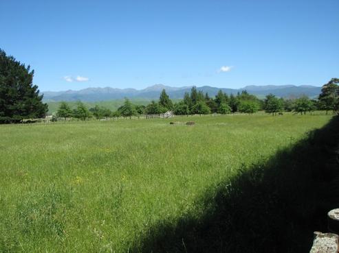 836B State Highway 2, Opaki