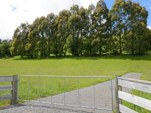 146 Mangaroa Valley Road, Mangaroa