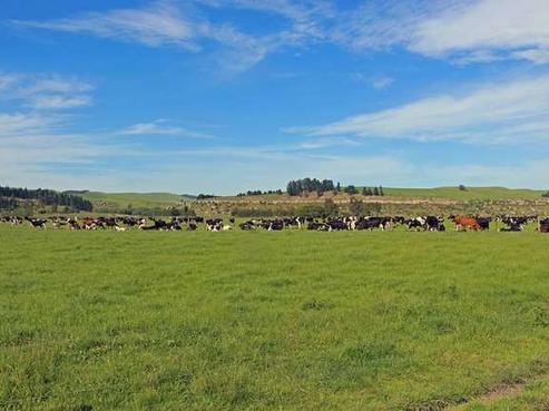 2802 Duntroon-georgetown Road, Duntroon