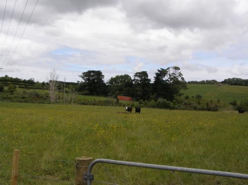 291 Irwin Road, Kingseat