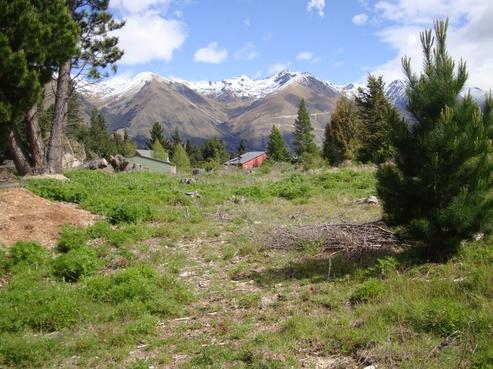81 Ohau Drive, Lake Ohau