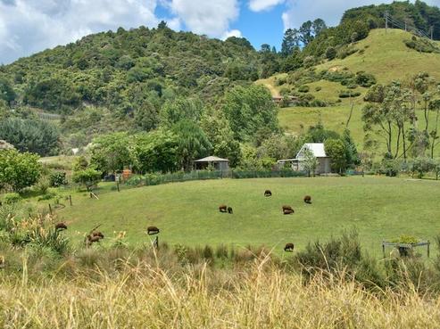 980 Matakana Valley Road, Whangaripo
