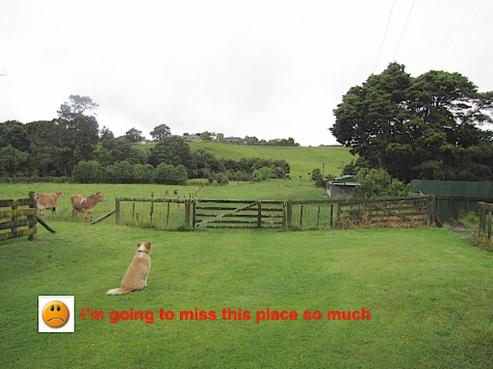 620A Waiuku Road, Mauku