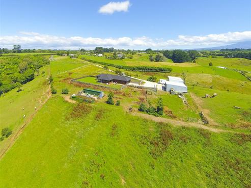 61 Pitt Road, Hillsborough