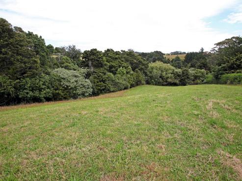 355 Runciman Road, Ramarama