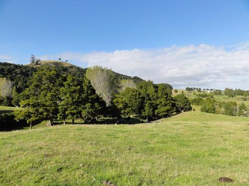 233 Tremain Road, Ruatangata