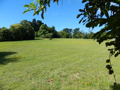 29E Darwin Road, Kerikeri