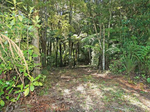 20 Kilgour Terrace, Huia