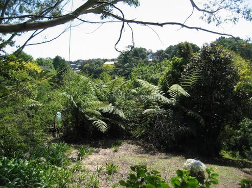 224 Frankley Road, Frankleigh Park