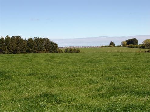 372 Ngawhini Road, Hawera