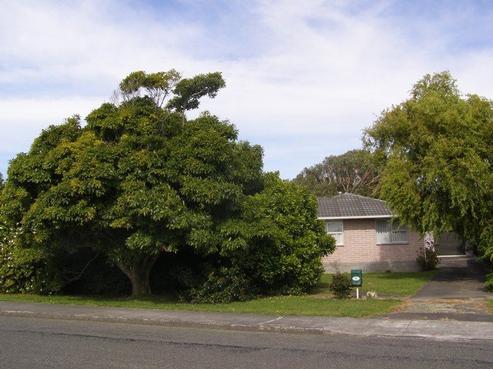 16 Freemans Road, Otaki
