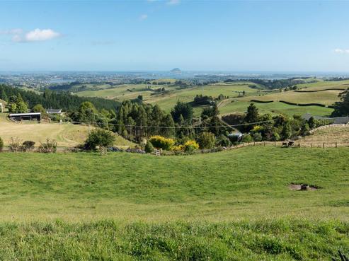 11B Rowe Road, Ohauiti