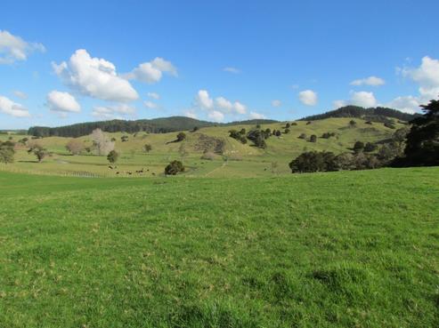 1191 Tangowahine Valley Road, Dargaville Surrounds