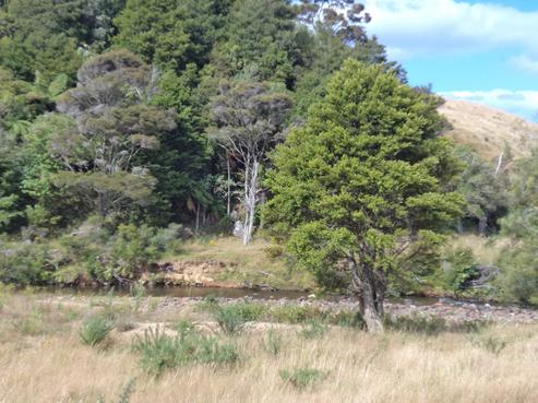 280 Kaimarama Road, Kaimarama