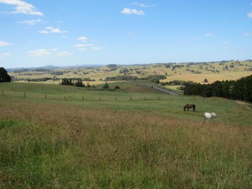 148 Bartlett Road, Mangapai and Surrounds