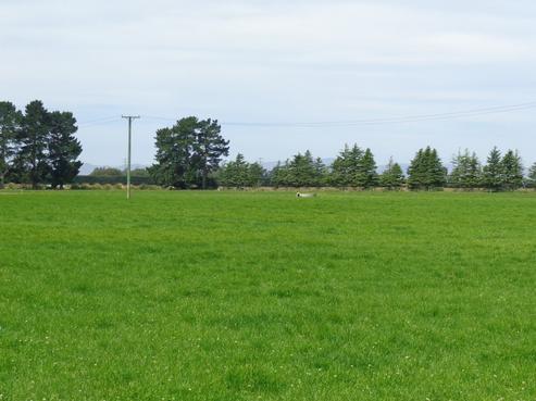 471 Dunsandel And Brookside Road, Dunsandel