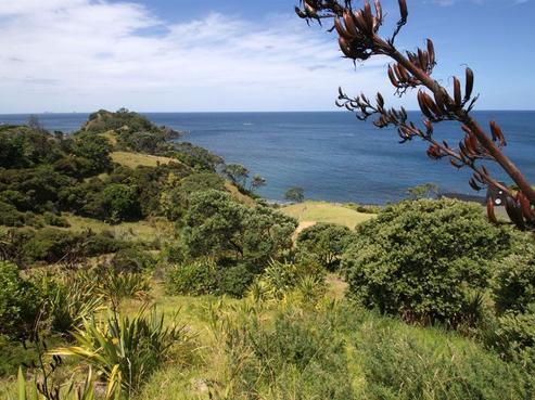 45 Rauhomaumau Road, Tutukaka