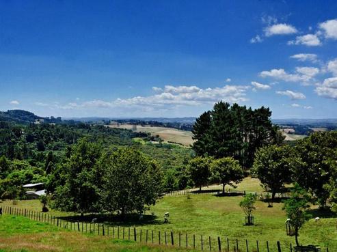 186 Wairere Road, Waitakere
