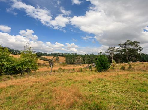 375 Horseshoe Bush Road, Dairy Flat