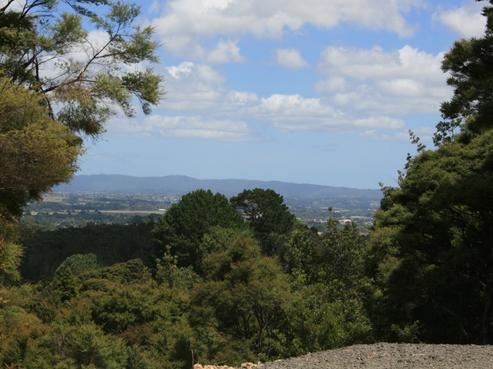 137 Elmore Road, Paremoremo